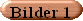 frida005.gif