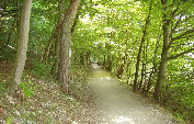 frida019.jpg